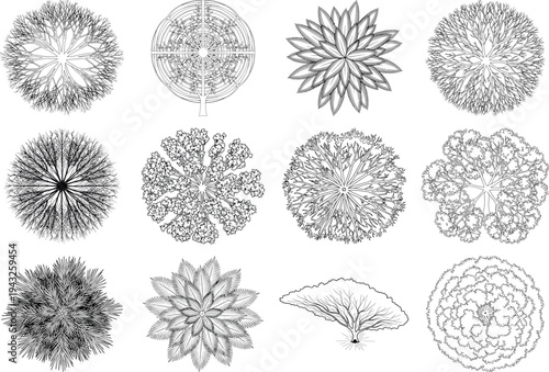 Collection of various microscopic views of different types of cells isolated on transparent background