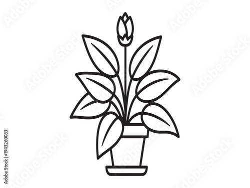 A simple line drawing of a potted plant with large leaves and a single flower bud