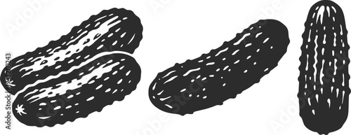 Fresh Cucumbers Set Vintage Engraved Vegetable Illustration.