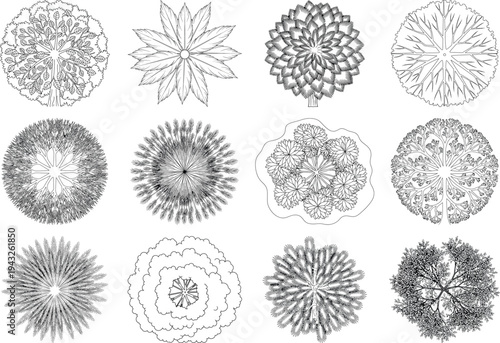 Collection of various spiny spherical objects isolated on transparent background
