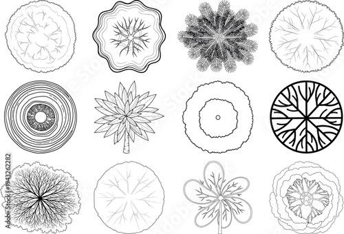 Collection of various circular floral patterns isolated on transparent background