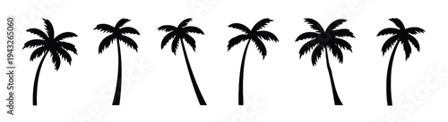 Silhouette collection of palm trees in various poses for tropical themes