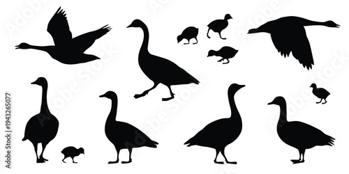 Silhouette collection of various goose and gosling birds in different poses