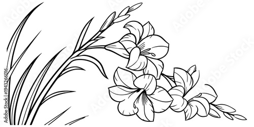 A delicate illustration of a flowering plant with long green stems and white blossoms