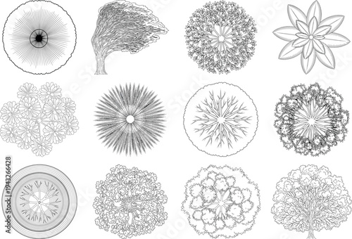 Collection of various microscopic views of different types of cells isolated on transparent background