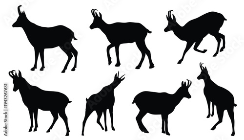 Silhouettes of chamois goats standing and walking on rocky terrain