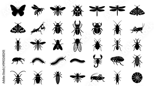 Insect Icon Set. Big collection of black bug silhouette vector illustrations. Minimalist graphic design elements for entomology, nature, and biology concepts. Isolated on white background.