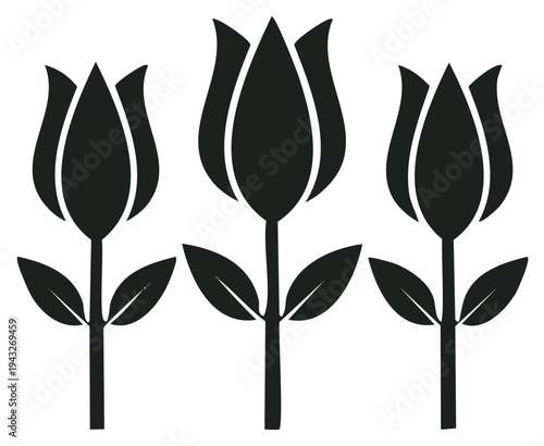 Stylized floral illustration of three tulips with stems and leaves