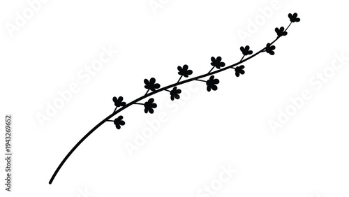 Floral Elegance: A delicate line art image showcases the refined beauty of nature, featuring a graceful, curved branch adorned with an array of symmetrical blossoms.