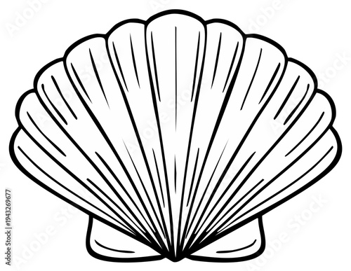 Simple Outline Drawing of a Scallop Shell Symbolizing the Ocean and Coastline