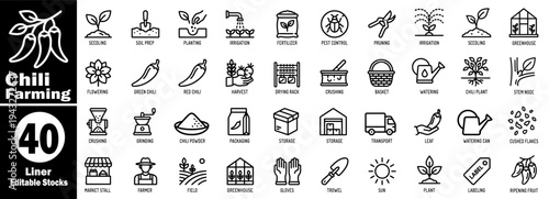 Chili farming vector icons. Depicting growth stages and processing vector illustrator.