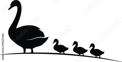 Silhouette elegant mother swan leading three cute ducklings family vector design