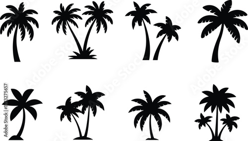 Palm tree silhouette collection with tropical coconut trees and island plants isolated on white background, black beach nature icons for summer design, travel graphics, branding