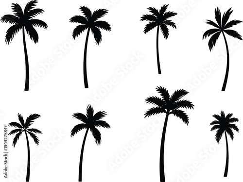 Palm tree silhouette set with tropical coconut trees isolated on white background, black beach plant icon collection for summer design, travel graphics, logo, branding