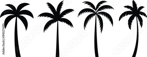 Palm tree silhouette collection with tropical coconut trees isolated on white background, black beach plant icons for summer design, travel graphics, logo, and branding