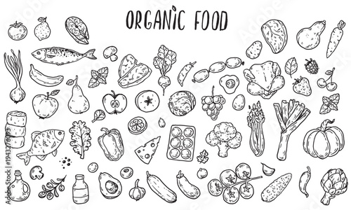 Organic food sketch doodles . Whimsical food doodles, Hand drawn vector illustration for menu, packaging design. Food quirky icons, simple sketch style. Top view. Simply fun