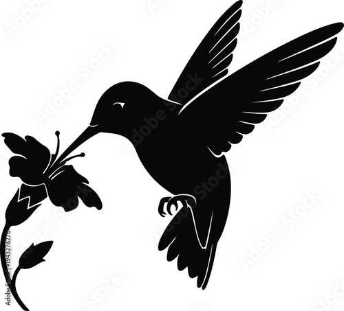Silhouette hummingbird feeding on a beautiful flower isolated on white vector design