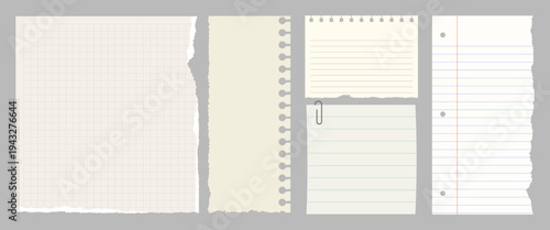 Torn paper notebook sheets collection vector element