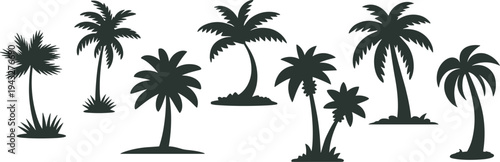 Tropical palm tree silhouette collection with coconut trees and island plants isolated on white background, black beach nature icons set for summer design, travel graphics