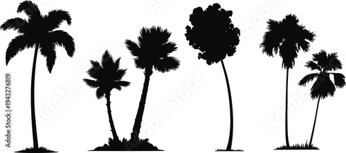 Tropical palm tree silhouette set with coconut palms and island vegetation isolated on white background, black beach nature illustration collection for summer design, travel graphics