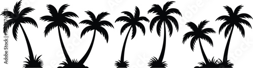Tropical palm tree silhouette set with coconut palms and island vegetation isolated on white background, black beach nature illustration collection for summer design and travel graphics