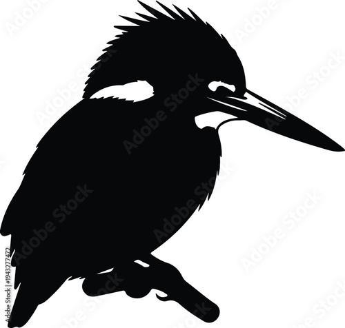 Silhouette of a kingfisher bird sitting on a branch vector design