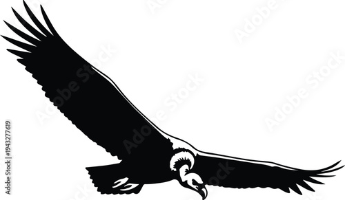 Silhouette of a large vulture soaring with wings wide open vector design