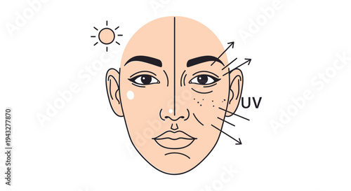 Sun damage comparison human face illustration showing uv exposure impact and effects skincare concept