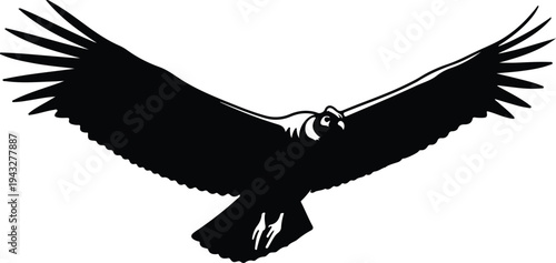 Silhouette of a powerful Andean condor flying with large wings vector design