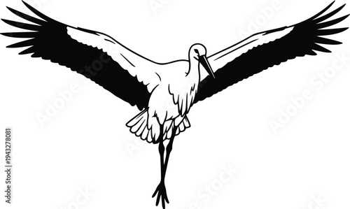 Silhouette of a white stork flying with open wings vector design