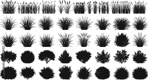 Plant silhouettes collection, grasses shrubs ornamental foliage, diverse garden vegetation forms, landscape botanical illustration set, vector art