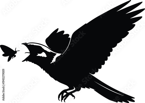 Silhouette wild nightjar bird hunting a flying moth in flight vector design
