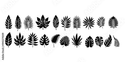 Tropical palm leaves silhouettes for nature and summer design elements