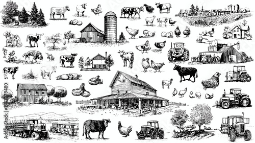 Vintage farm collage with animals and equipment
