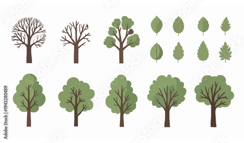 Hand drawn tree and leaf vector collection botanical flat design set with bare trees and lush green foliage isolated on white background