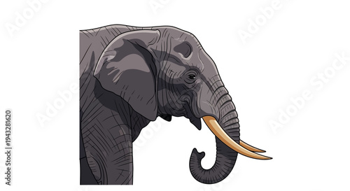 Majestic African Elephant Head with Large Tusks, Side Profile, Isolated White Background.