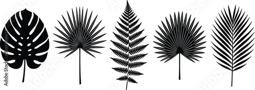 WebCollection of black tropical leaf silhouettes including monstera, palm, and fern fronds isolated on white background for exotic summer design.