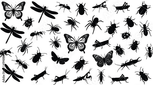 Large Collection of Insect Silhouettes Featuring Butterflies, Spiders, Ants, Dragonflies, Beetles, Grasshoppers, and Mantis for Nature Design, Educational Biology, and Entomology