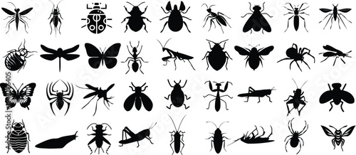 Variety of insect silhouettes detailed black vector illustrations