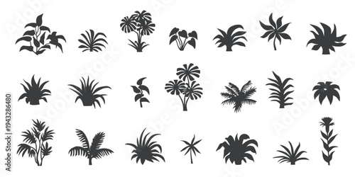 Variety of tropical and jungle plants in silhouette style