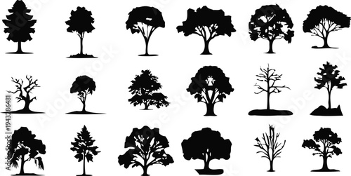 Variety of tree silhouettes in different shapes and sizes
