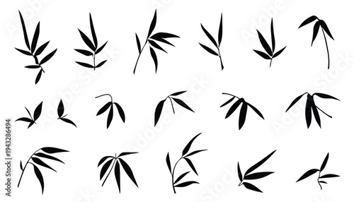 Various bamboo leaves and branches in silhouette