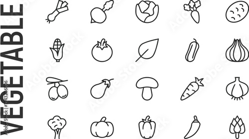 Vegetable icons set vector garden produce fresh raw ingredients outline collection healthy food