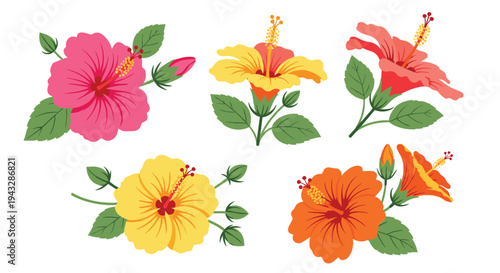 Collection of colorful hibiscus flowers and buds in a flat design style
