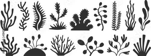 Assortment of Black Seaweed and Plant Silhouettes Keywords: seaweed, plant, marine, underwater, nature, flora, organic, growth