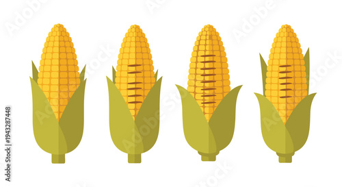 Four yellow corn cobs with green husks arranged in a row on a white background