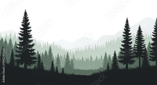 Silhouetted Pine Trees in Misty Forest.