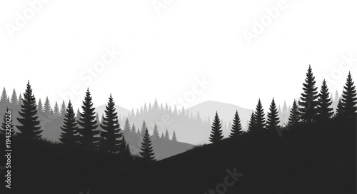 Silhouetted Evergreen Trees Against Mountains.