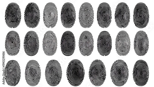 Fingerprint Biometric Identification Vector Set – Thumbprint Patterns Collection