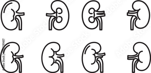 A set of vector line art kidney silhouettes in various orientations and styles for medical use